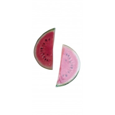 Χειροποίητα σκουλαρίκια φέτες καρπούζι 