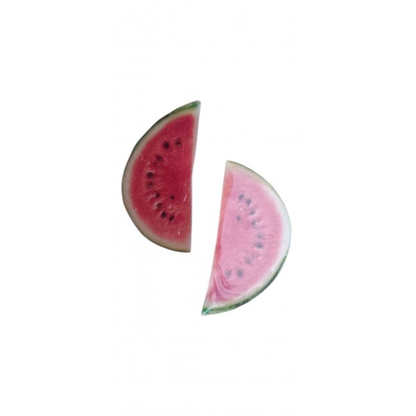 Χειροποίητα σκουλαρίκια φέτες καρπούζι 